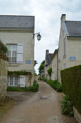 Candes Saint Martin  (Indre et Loire - Pays de la Loire - France)