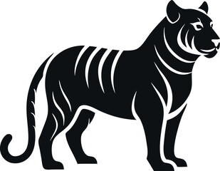 vector illustration of tiger
