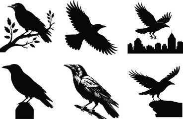 Obraz premium Crow SVG Silhouette Bundle, Crow Vector Art black and white Background. Flying Raven illustration.
