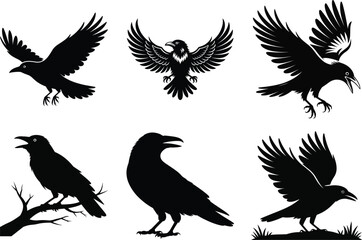 Obraz premium Crow SVG Silhouette Bundle, Crow Vector Art black and white Background. Flying Raven illustration.