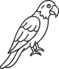 african grey parrot line arts