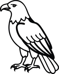african fish eagle line arts with white background 