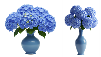 Blue hydrangea flower in a vase set PNG. Beautiful and luscious hydrangea flower bouquet in blue ceramic vase PNG. Summer flower hydrangea in vase for interior decorations isolated