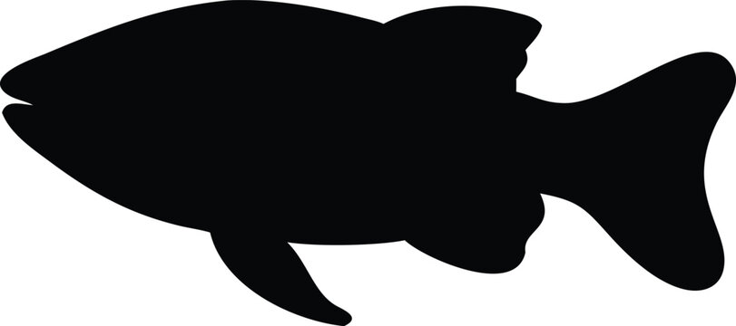  archerfish line arts with white background