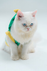White fluffy cat with blue eyes wea a colorful costume against light background, adorable pet dressed up, cute feline with costume, playful animal image