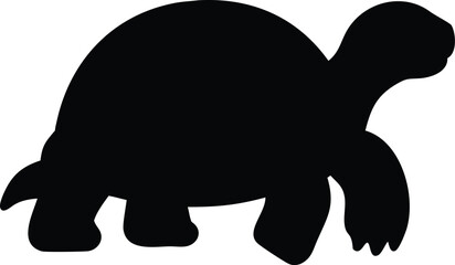 aldabra giant tortoise line arts 