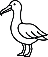 albatross line arts with white background 