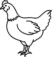  australorp chicken  line arts 