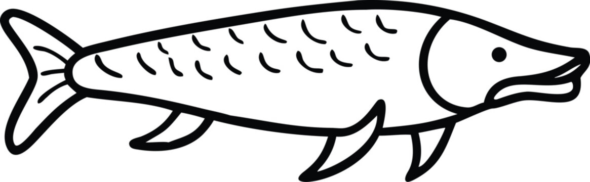   arapaima  line arts with white background