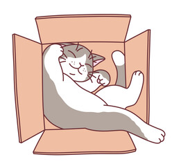 Cute cat sleeping inside the box vector illustration. Cute cats series.