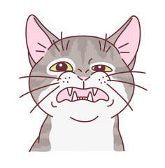 The cat made a face of surprise and disgust. Cute cats series.