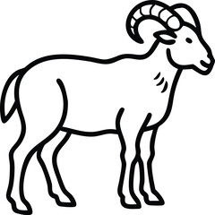    aoudad sheep line arts with white background