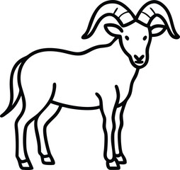    aoudad sheep line arts with white background