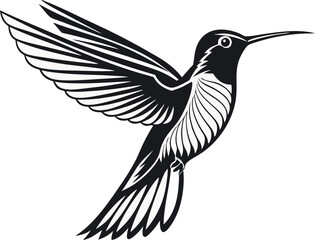 Fototapeta premium Black and white vector illustration of a flying hummingbird with detailed wings, a graceful silhouette, and artistic feather design