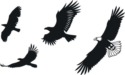Obraz premium A striking vector illustration of an eagle soaring through the sky in bold black silhouette style, symbolizing power, freedom, and grace. Perfect for designs representing strength and majesty.