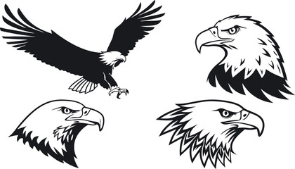 Obraz premium A dynamic vector illustration of a black eagle soaring through the sky, capturing its majestic wingspan and powerful presence. This design symbolizes strength, and the grandeur of wildlife in motion.