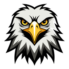 bald eagle vector illustration