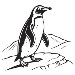 Fototapeta premium penguin silhouette vector