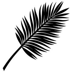 Obraz premium Palm Branch Laid Down Vector Religious Easter Symbol for Microstock Graphics