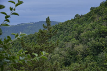 Forested hills and valley under clouds