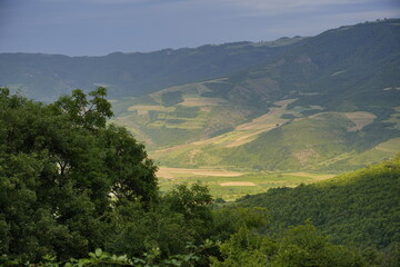 Forested hills and valley under clouds