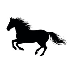 Horses Silhouette on white background