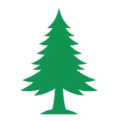 Pine Tree colorful Vector