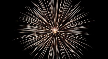 Naklejka premium Spectacular golden burst of fireworks illuminating the dark night sky with radiant streaks of light creating a dazzling display of pyrotechnic artistry and celebratory brilliance