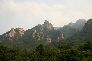 Korea
