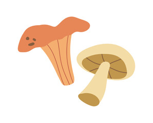 Mushrooms in flat style. Vector