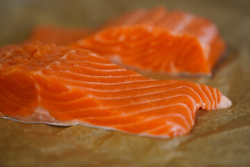 Fresh Raw Salmon Fillets on Parchment Paper