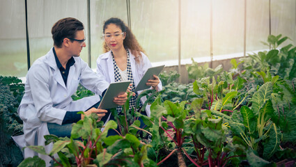 Portrait of Man and Woman agricultural researcher holding tablet while working on research at plantation in industrial greenhouse