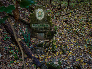The Flóra Spring with its carved stone sign nestled in a leaf-covered forest ravine near Lillafüred in Hungary's Bükk Mountains.