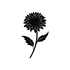 Callable graphic for web design, decorative floral elements and branding projects.