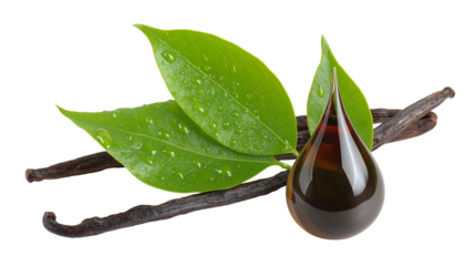 Rich brown vanilla oil drops beside fresh vanilla bean and green leaves showcasing natural aroma