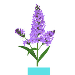 Obraz premium Minimal Vector Clipart of Purple Flower – Isolated Wildflower Design on White