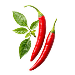 Fresh red chili peppers on transparent background