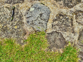 Stone pavement with grass growing between old weathered rocks