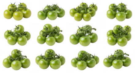 Fresh Green Tomatoes Bunches Displayed in Various Arrangements for Culinary Use and Gardening Inspiration, isolated on a transparent background