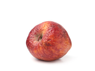 One whole rotten apple isolated on white
