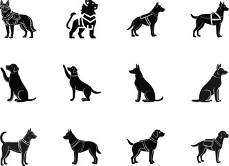Several breeds of black working canine and feline animals stand against a transparent backdrop