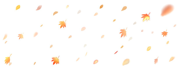 落ち葉が舞い散る背景　横長