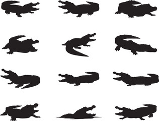 Collection of Alligator Silhouettes isolated on white background