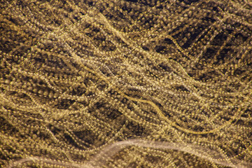 Intentional Camera Movement abstract 