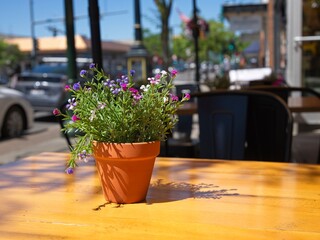  Flower pot as centerpice at ourdoor cafe.