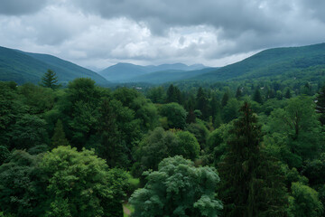 Verdant rolling hills covered in dense evergreen and deciduous trees under a cloudy sky forest mountains