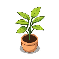 Detailed House Plant Illustration