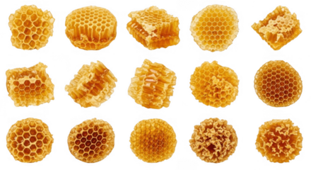 Various Pieces of Honeycomb Showcasing the Intricate Patterns and Natural Sweetness of Honey, isolated on a transparent background