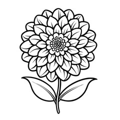 white flower isolated on black