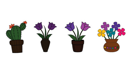Collection of potted plants including a cactus and various colorful flowers